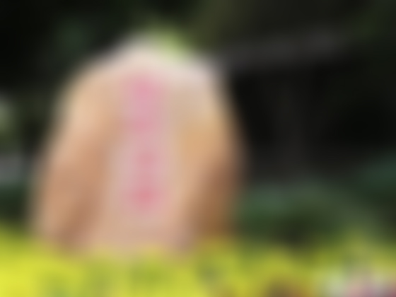 闵行黄浦江水文化博物园游玩攻略1