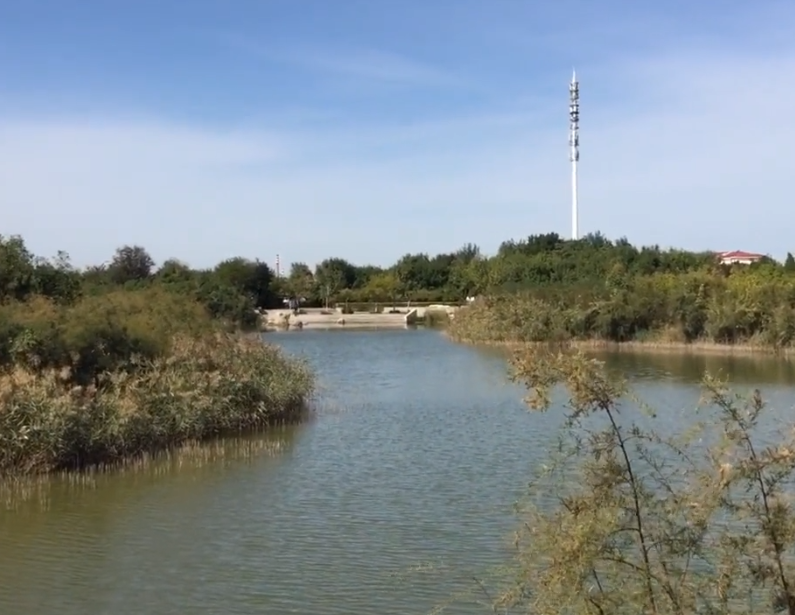 大港湿地公园游玩攻略1