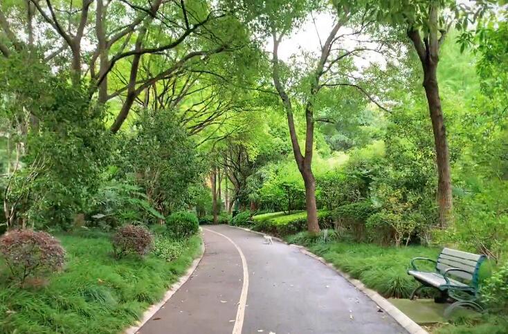 宝山大华行知体育主题公园游玩攻略1