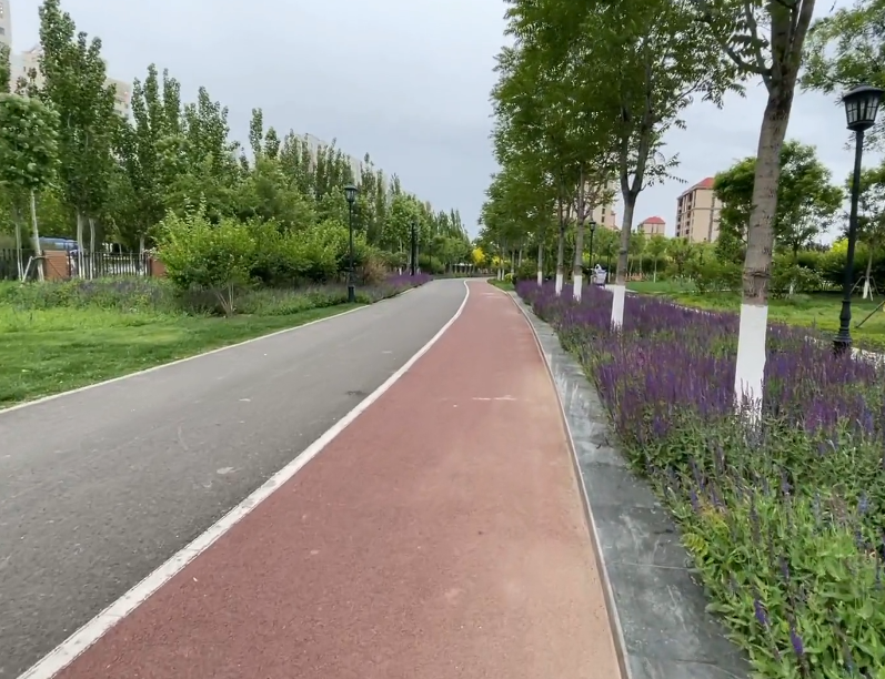 津南体育公园游玩攻略1