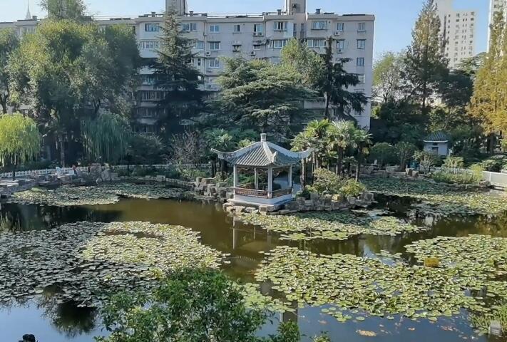 普陀曹杨公园游玩攻略1