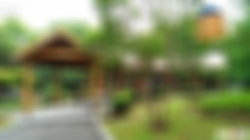 上海浦东泾东公园游玩攻略1