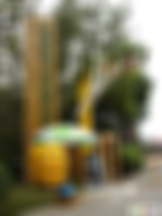 浦东孙桥现代农业开发区游玩攻略1