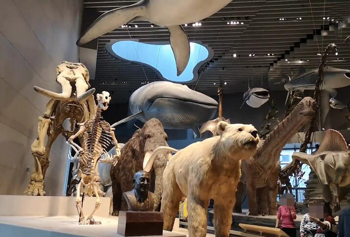 浦东上海大自然野生昆虫馆游玩攻略1