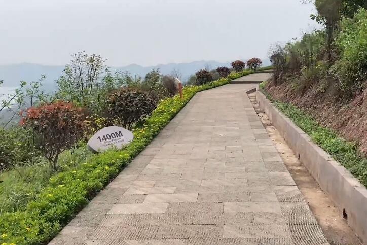 上海徐汇龙华古镇游玩攻略1