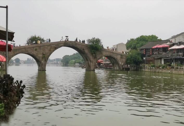 浦东上海野生动物园游玩攻略1