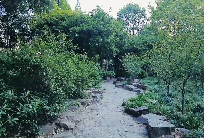 杨浦延春公园游玩攻略1