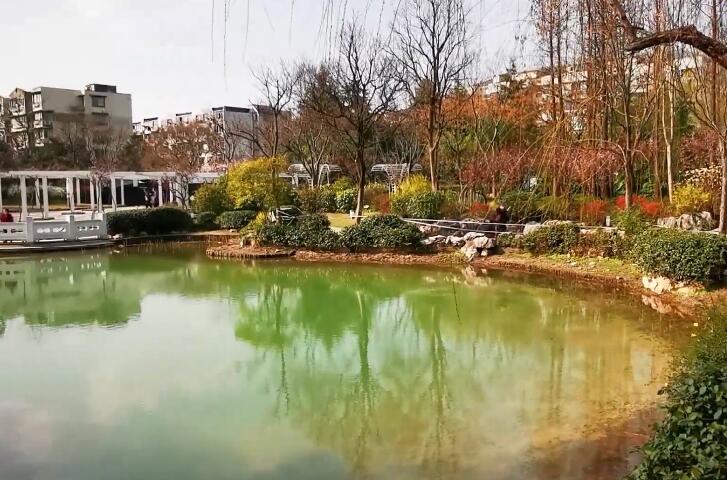 黄浦步高里游玩攻略1