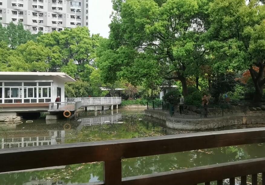 杨浦松鹤公园游玩攻略1