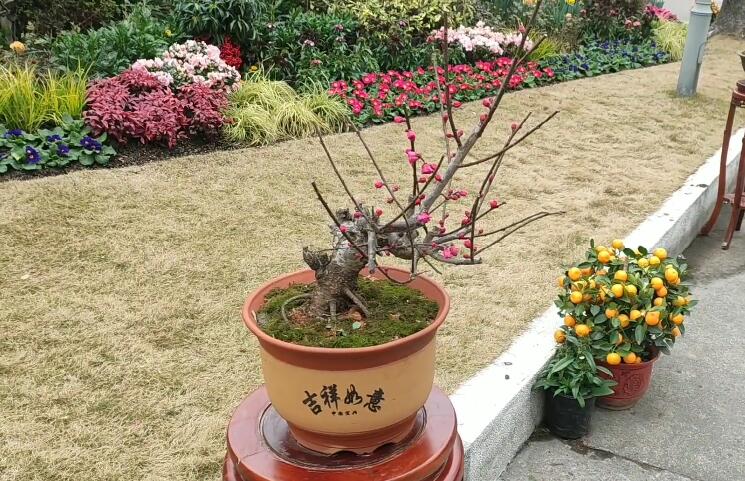 长宁宋庆龄陵园游玩攻略1