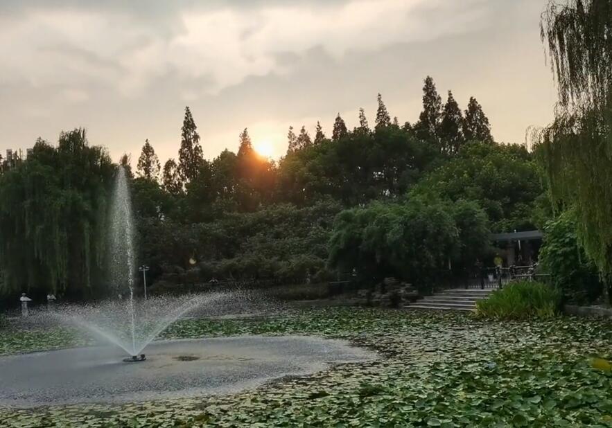 杨浦民星社区公园游玩攻略1