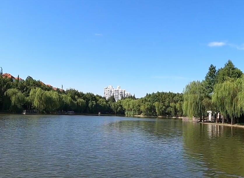 宝山月浦公园游玩攻略1