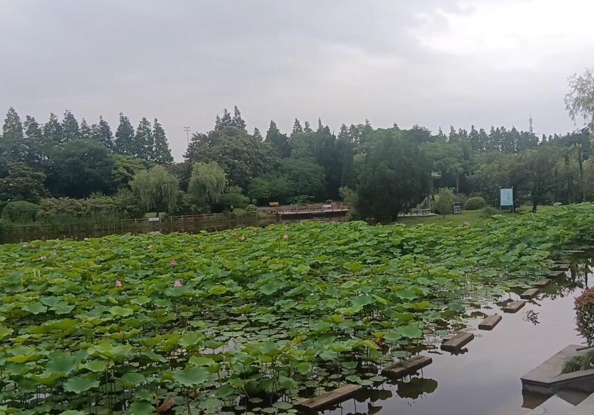 新城路金山滨海公园游玩攻略1