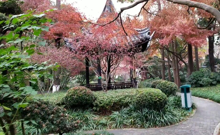 真如寺(云居禅院)游玩攻略1