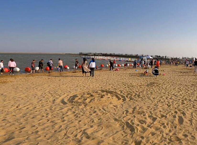 石化镇金山城市沙滩游玩攻略1