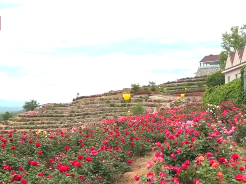 北京旅游景点:蔡家洼农业观光园1