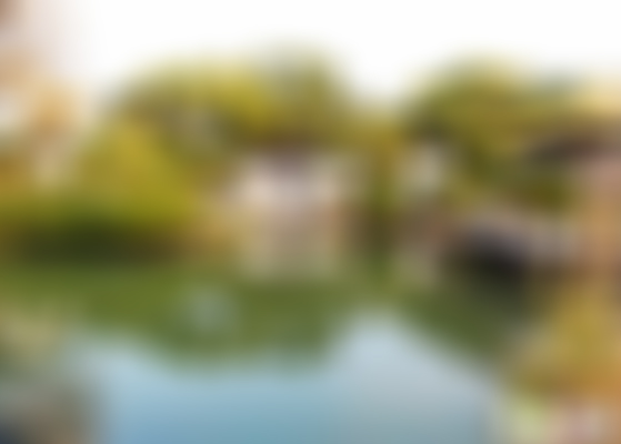 上海徐汇东安公园游玩攻略1