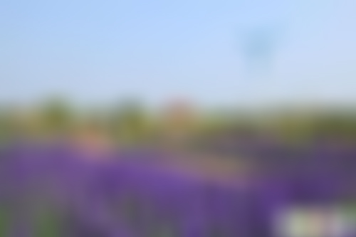 北京旅游景点:北京农业公园香草世界1