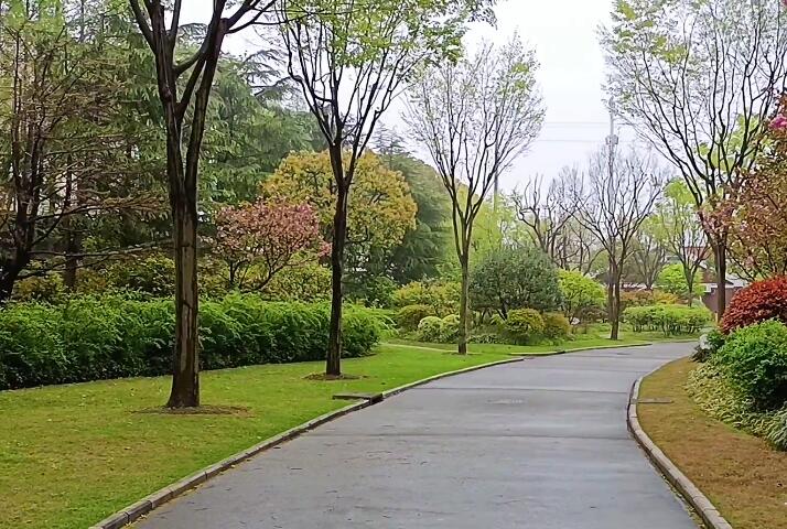 普陀未来岛公园游玩攻略1