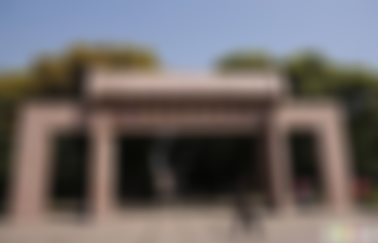 浦东上海滨海森林公园游玩攻略1