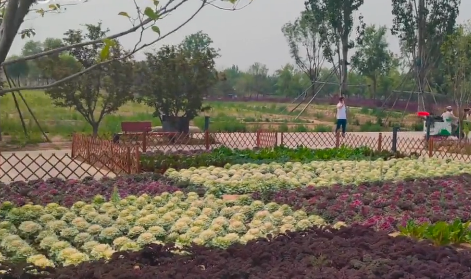 北京旅游景点:绿富隆观光园1