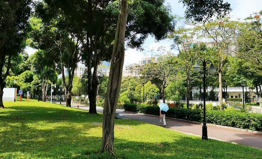 北京旅游景点:新地家园城市森林公园1