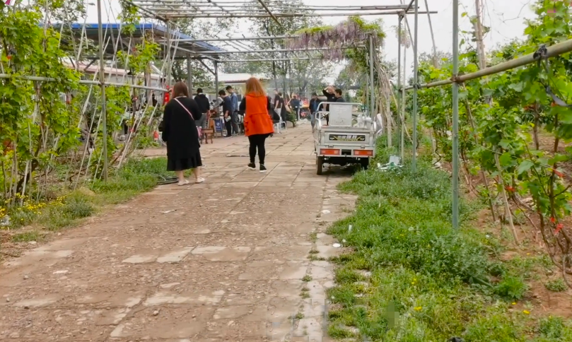 北京旅游景点:老泉口观光采摘园1