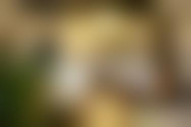 北京旅游景点:知己茶社1