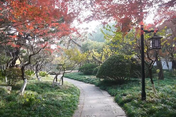 东川路闵行公园游玩攻略1