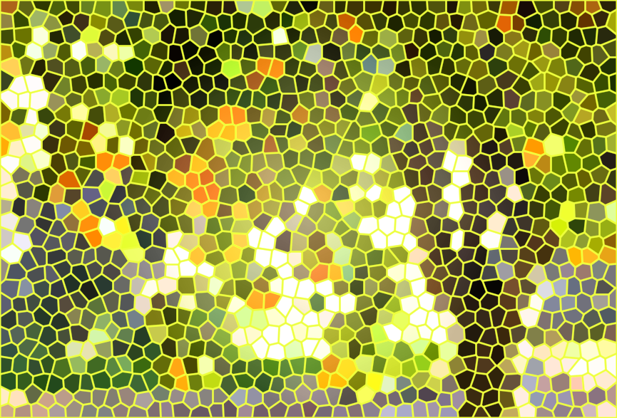 北京旅游景点:新庄堡杏树观光采摘园1