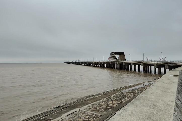 上海浦东芦潮港游玩攻略1