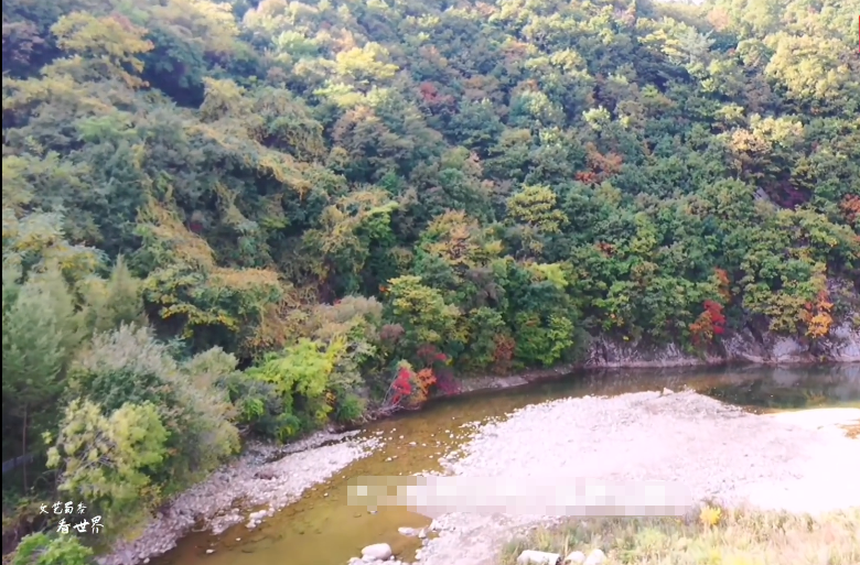 北京旅游景点:银枫秋实景区1