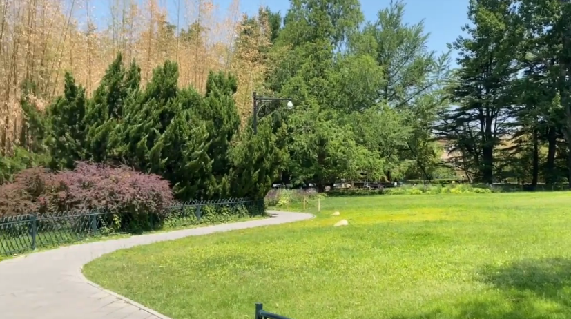 北京旅游景点:东西芦垡公园1