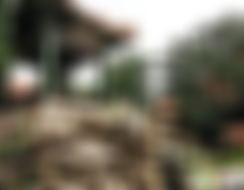 北京旅游景点:丰宣公园1