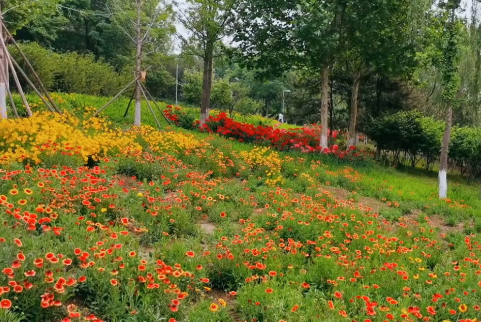 北京旅游景点:桃苑郊野公园1