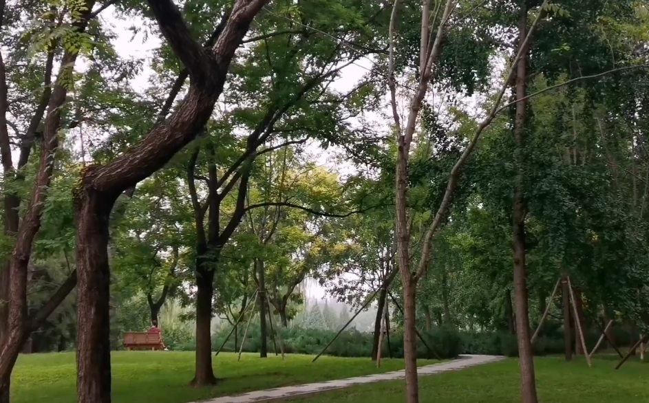 北京旅游景点:高米店公园1