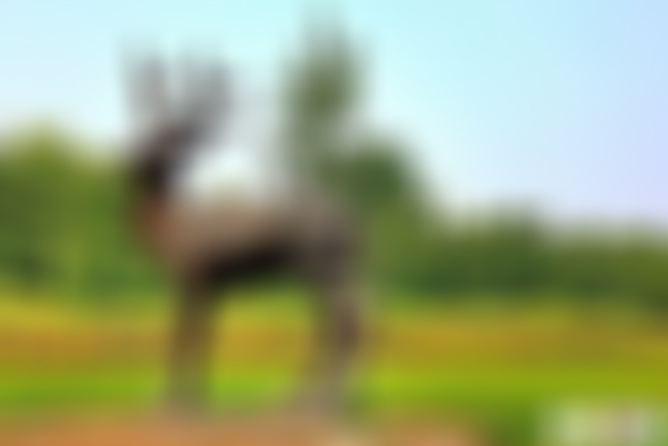 北京旅游景点:南海子麋鹿苑自然保护区1