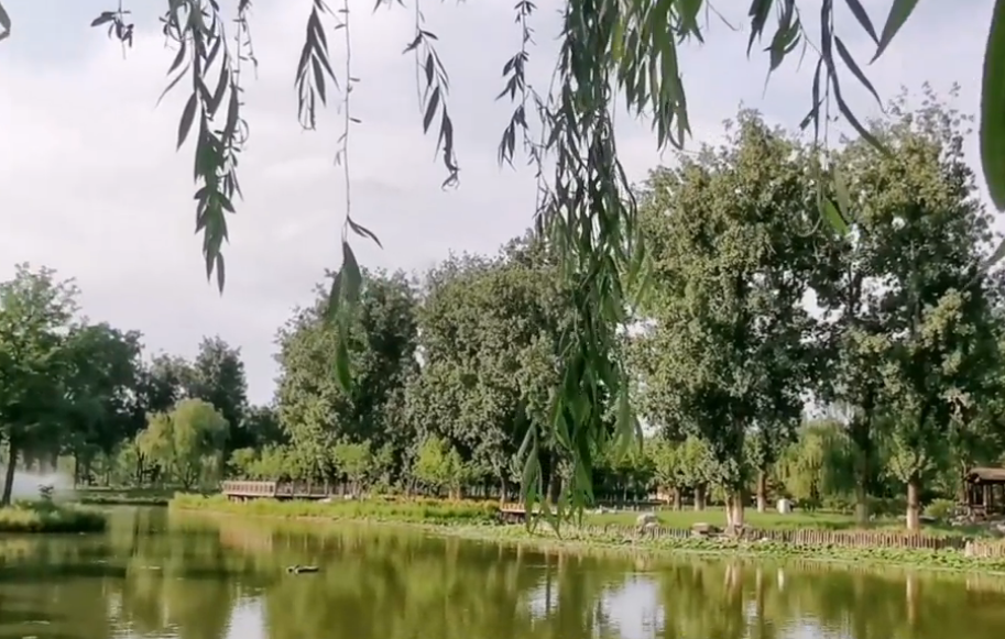 北京旅游景点:驴房村头公园1