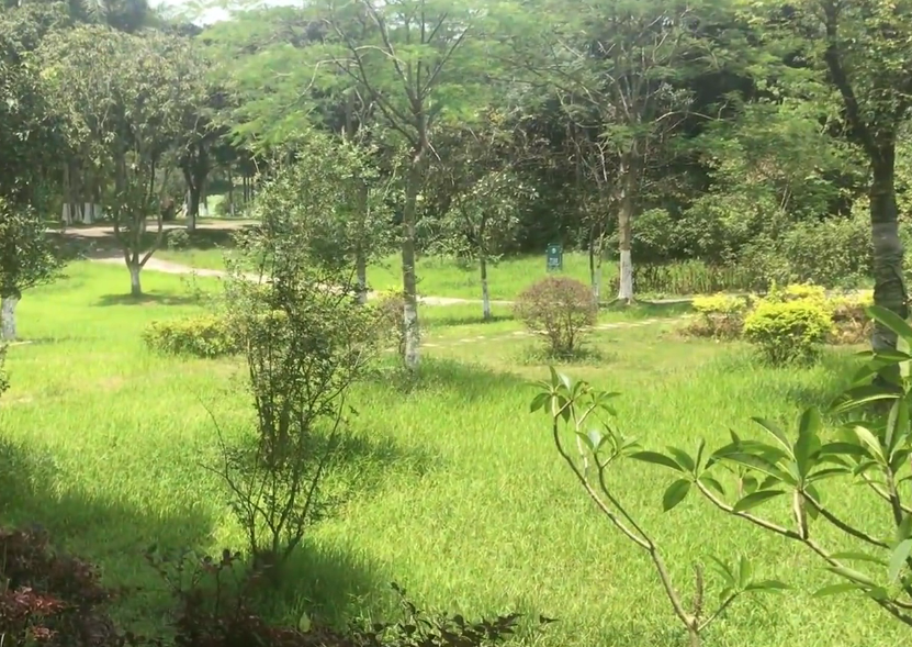 北京旅游景点:大兴翡翠公园1