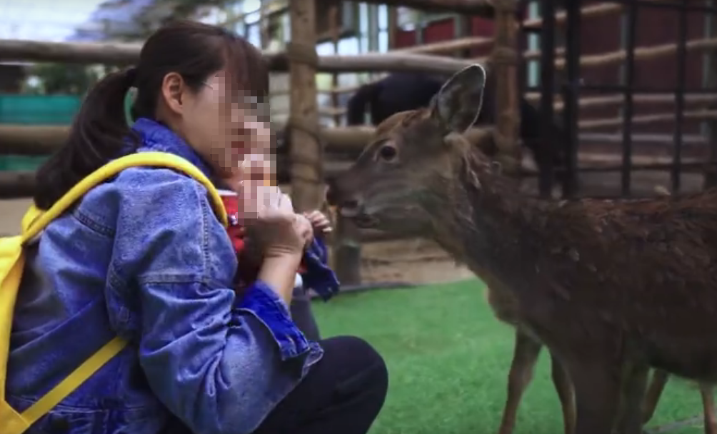 北京旅游景点:自然box雨林牧场1