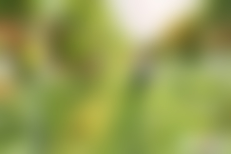 北京旅游景点:北京双新观光采摘园1