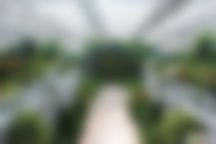 北京旅游景点:中国科技农业展示园1