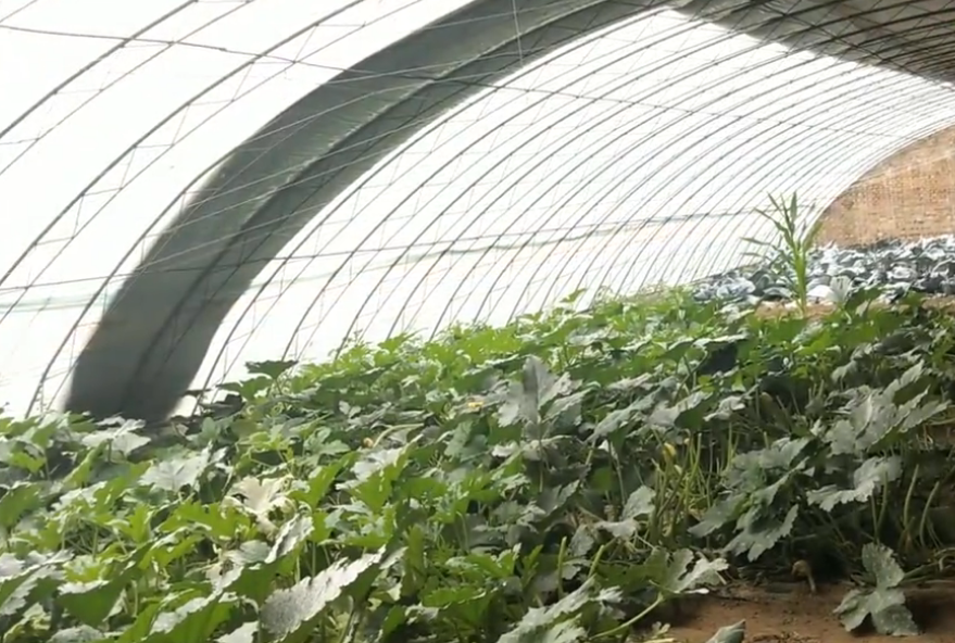 北京旅游景点:绿野仙踪开心农场1