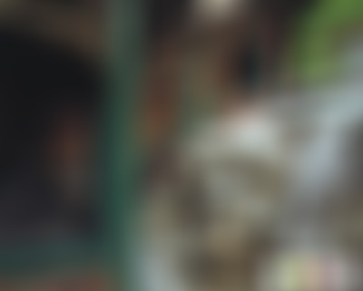 北京旅游景点:故宫旭辉庭景区1