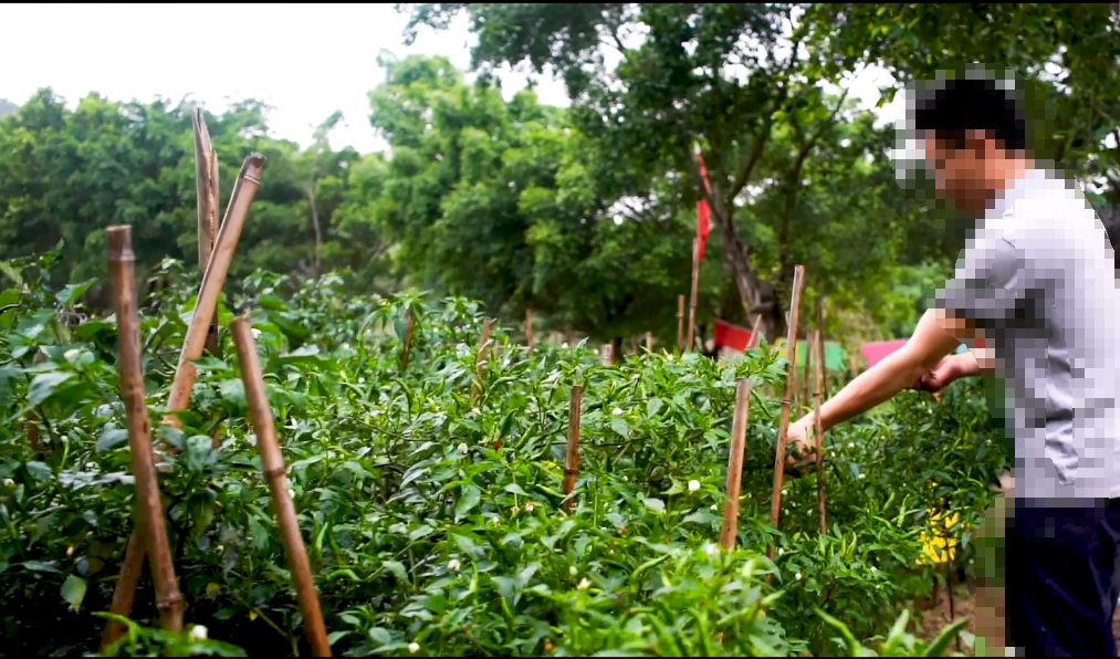 北京旅游景点:振龙庄园1