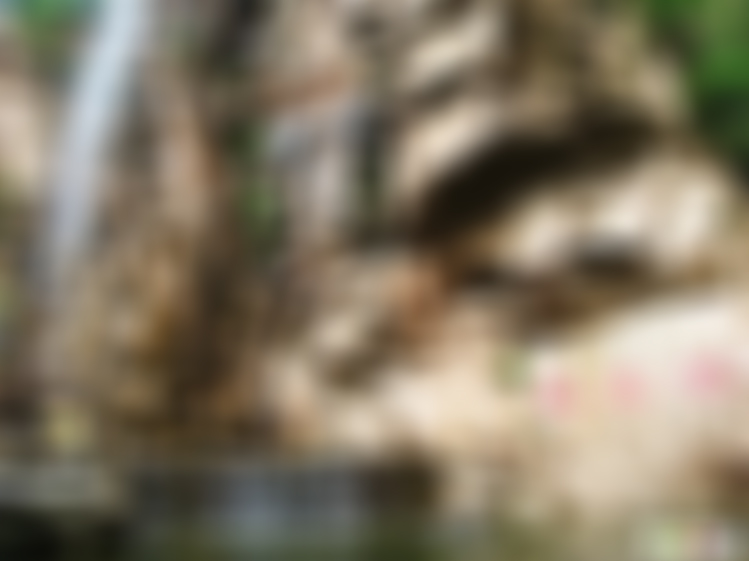 北京旅游景点:农林农科院林果研究所1