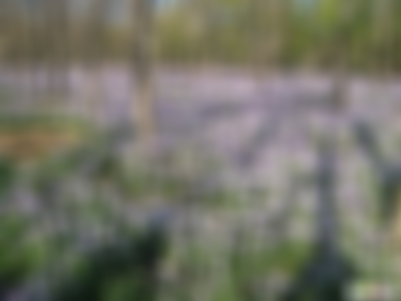 北京旅游景点:八间房将府公园1