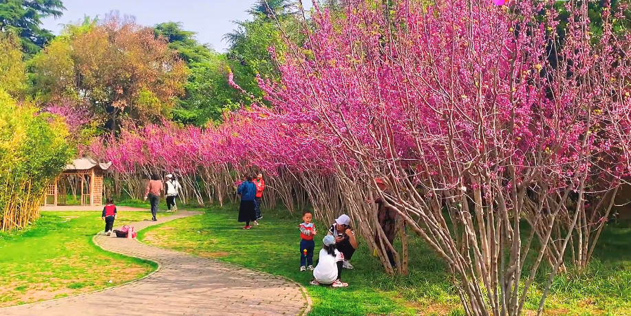 北京旅游景点:龙旺庄公园1