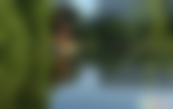 北京旅游景点:西直门紫竹院公园1