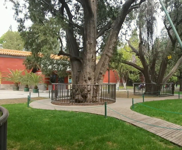 北京旅游景点:北京中山公园2